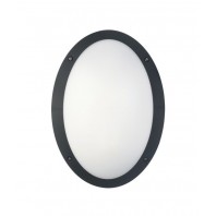 CLA-Bulk: LED Bulkhead Lights(Oval) IP66 IK10